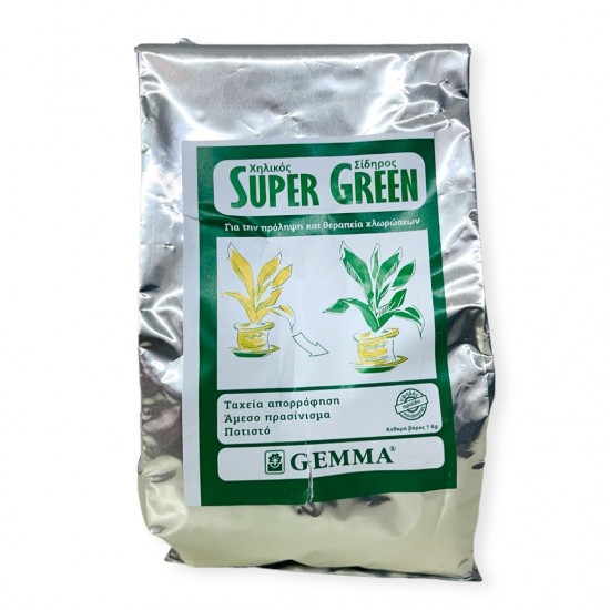 ΧΗΛΙΚΟΣ ΣΙΔΗΡΟΣ 1kg (super green) GEMMA