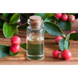 ΑΙΘΕΡΙΟ ΕΛΑΙΟ ΓΩΛΘΕΡΙΑ (Wintergreen essential oil)