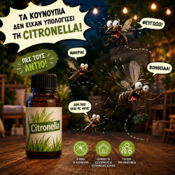CITRONELLA ΥΔΑΤΟΔΙΑΛΥΤΗ CITRONELLA ΥΔΑΤΟΔΙΑΛΥΤΗ