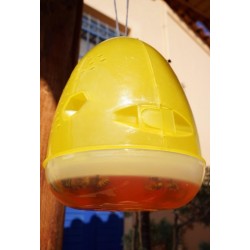 ΠΑΓΙΔΑ ΓΙΑ ΣΦΗΚΕΣ και άλλα έντομα (VESPA TRAP) ΠΑΓΙΔΑ ΓΙΑ ΣΦΗΚΕΣ και άλλα έντομα (VESPA TRAP)