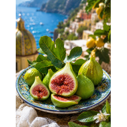 ΕΣΣΑΝΣ ΣΥΚΟ AMALFI