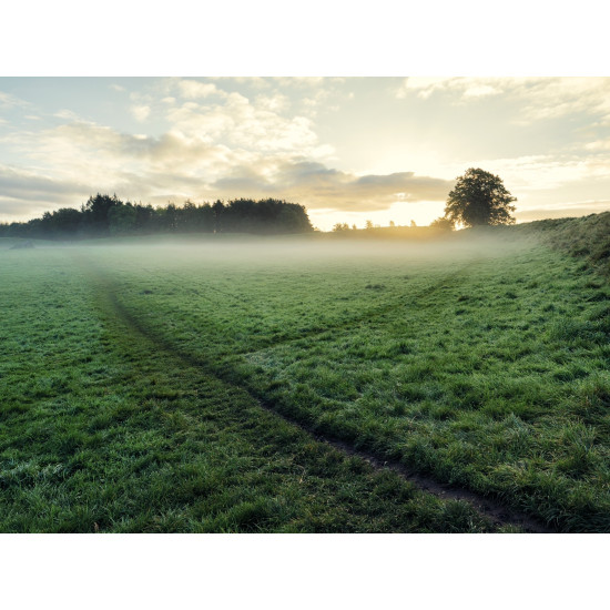 ΕΣΣΑΝΣ BRISK MORNING 