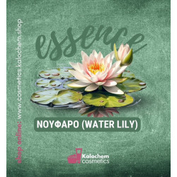 ΕΣΣΑΝΣ ΝΟΥΦΑΡΟ (WATERLILY)