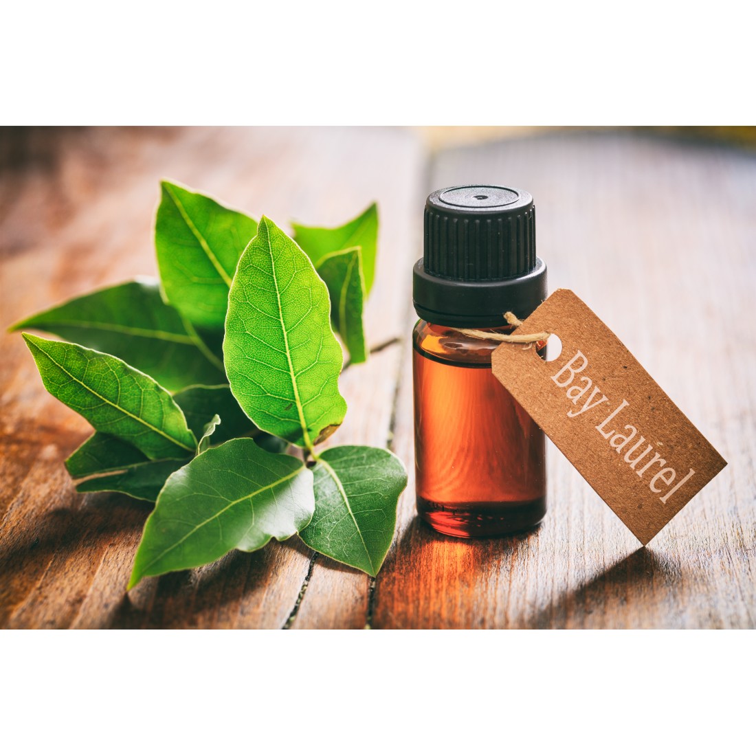 ΑΙΘΕΡΙΟ ΕΛΑΙΟ ΔΑΦΝΗ ΦΥΣΙΚΟ (bay leaves oil)
